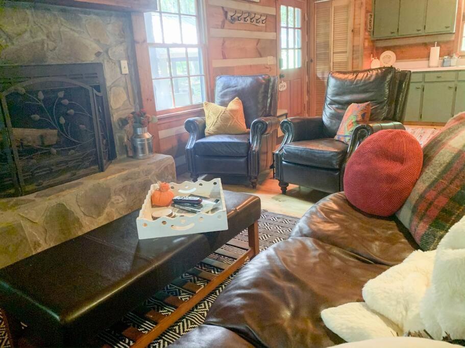 Вилла Hot Tub, Porch Swing Bed, Fire Pit, Aska Adventure Блу-Ридж Экстерьер фото