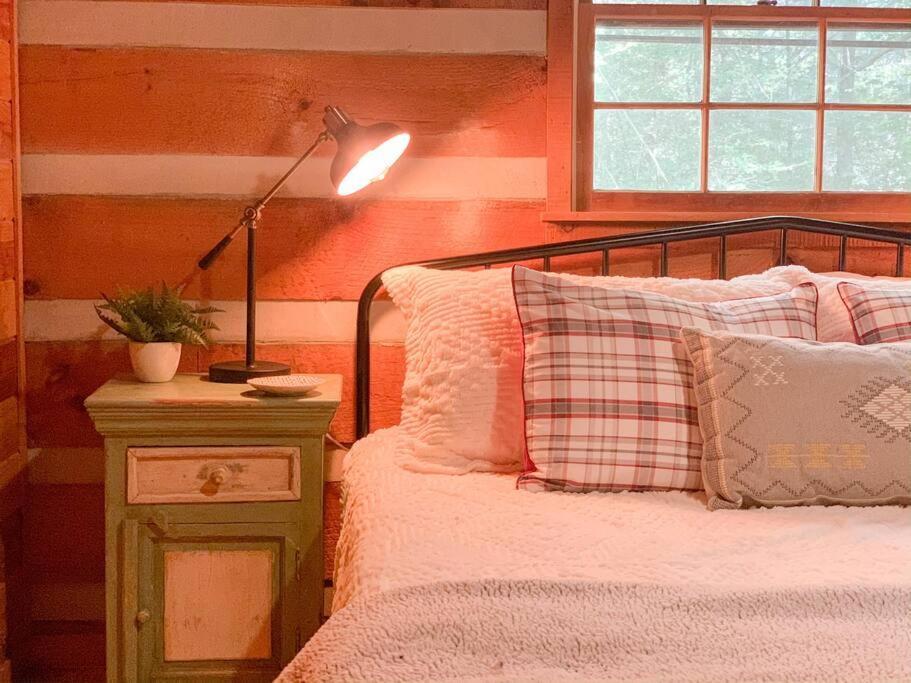 Вилла Hot Tub, Porch Swing Bed, Fire Pit, Aska Adventure Блу-Ридж Экстерьер фото